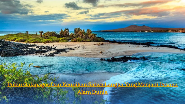 Pulau Galapagos